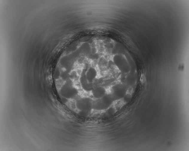 X0000115090771200911171216