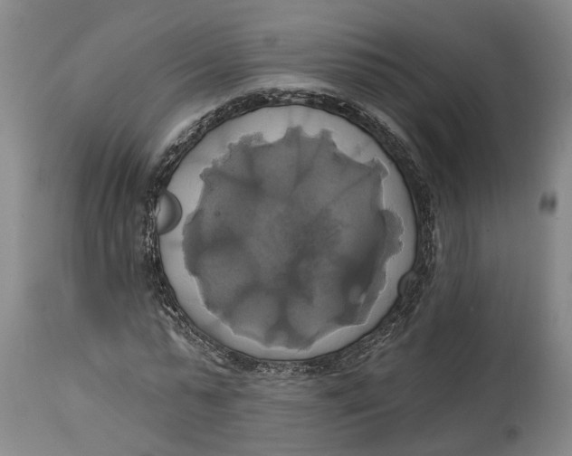 X0000115090775200911171216