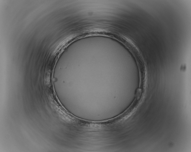 X0000115090777200911171216