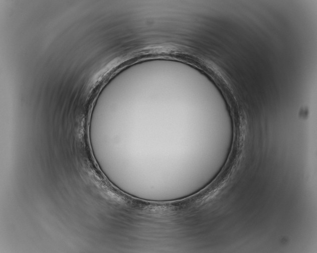 X0000115090778200911171216