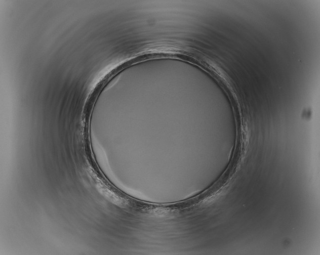 X0000115090779200911171216