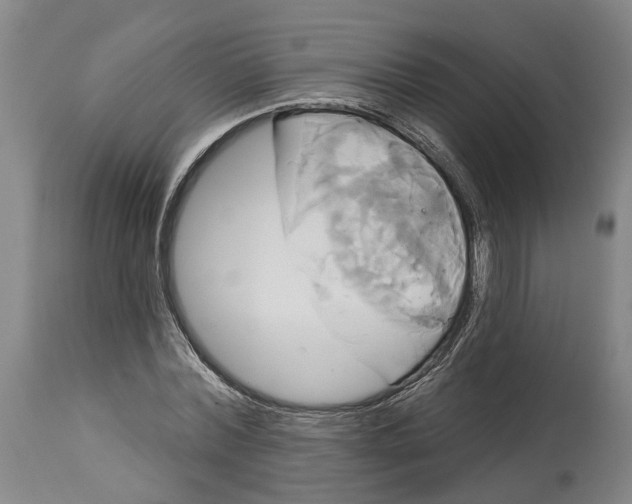 X0000115090780200911171216