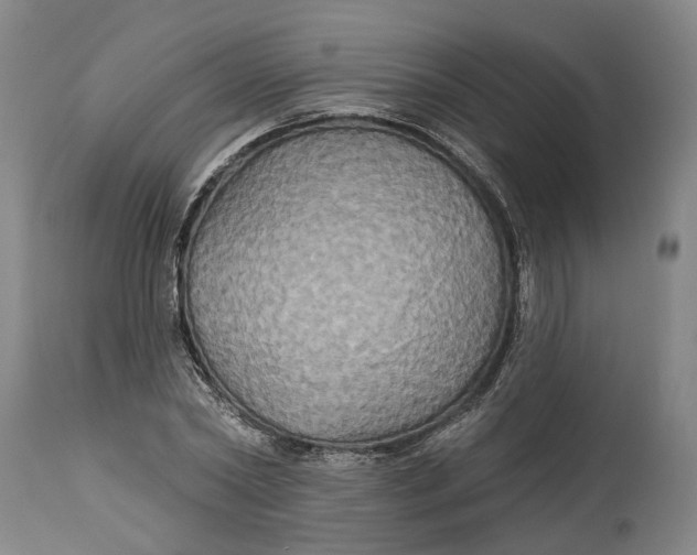 X0000115090782200911171216