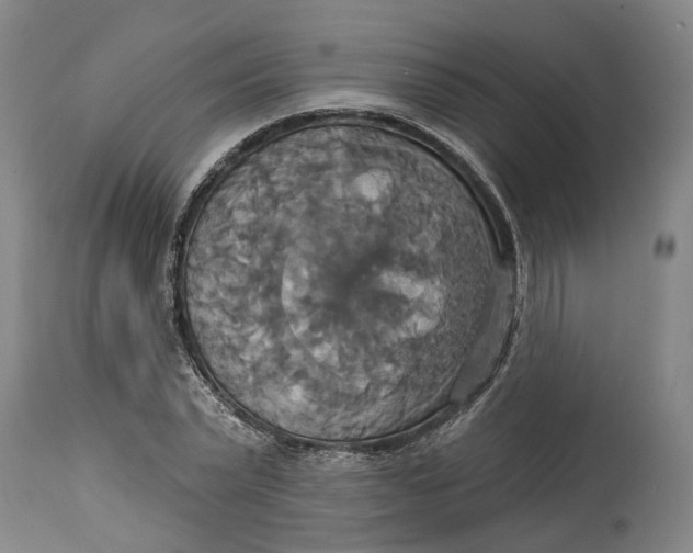 X0000115090783200911171216