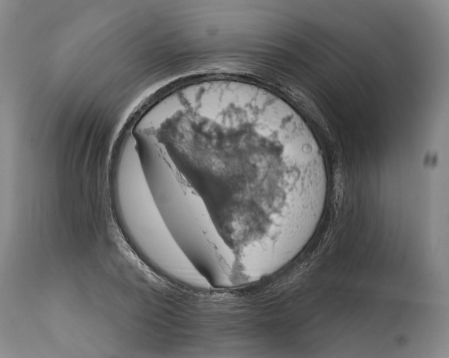 X0000115090784200911171216