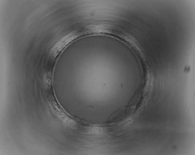 X0000115090785200911171216