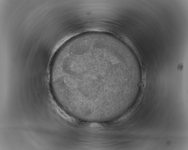 X0000115090787200911171216