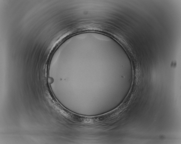 X0000115090790200911171216