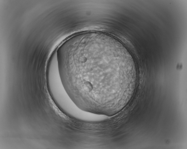 X0000115090792200911171216