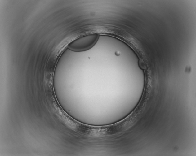 X0000115090793200911171216