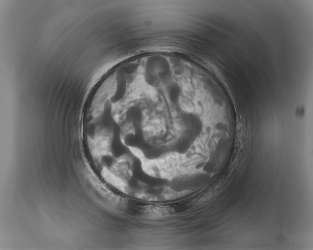 X0000115090795200911171216