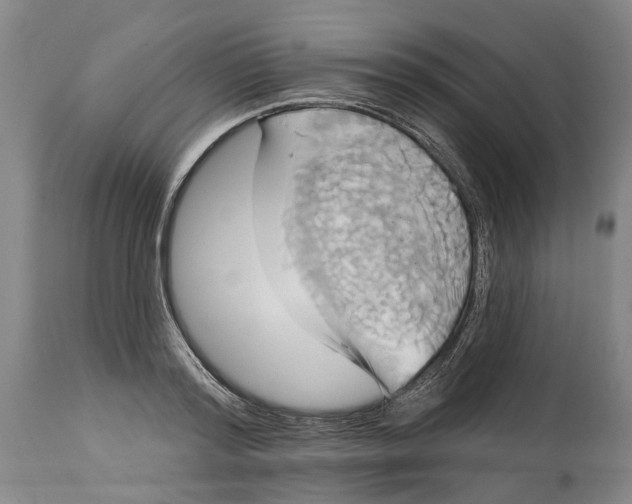 X0000115090796200911171216