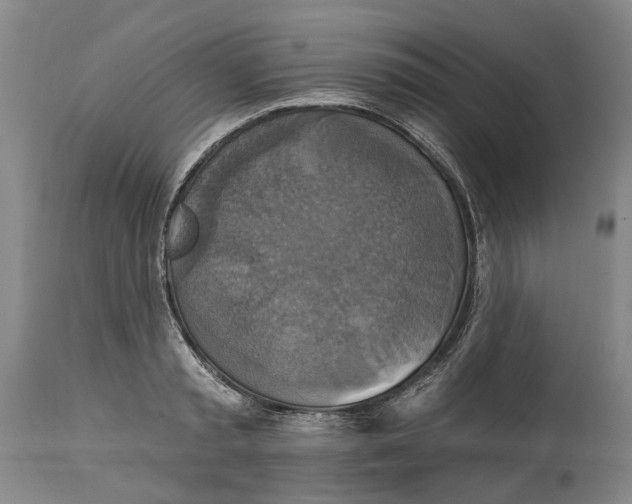 X0000115090797200911171216