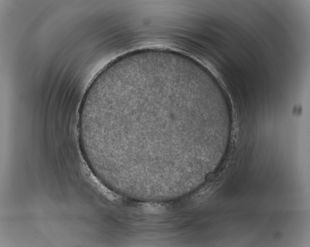 X0000115090799200911171216