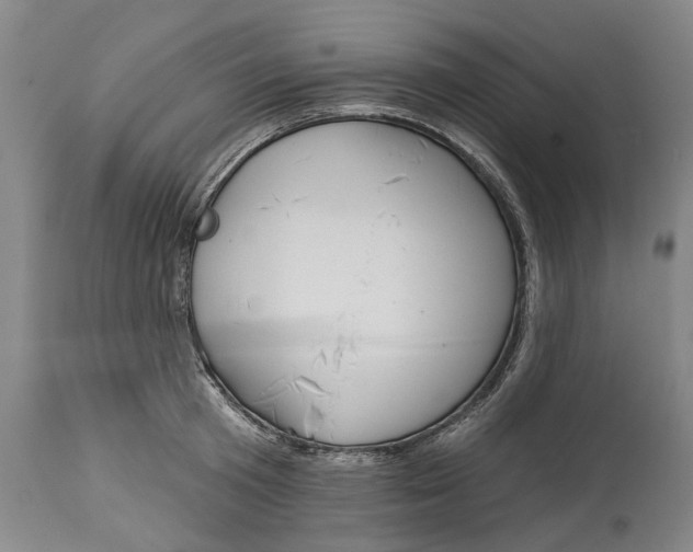X0000115090801200911171216