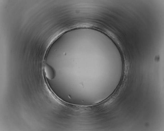 X0000115090802200911171216