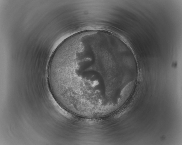 X0000115090803200911171216