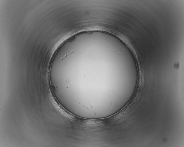 X0000115090805200911171216