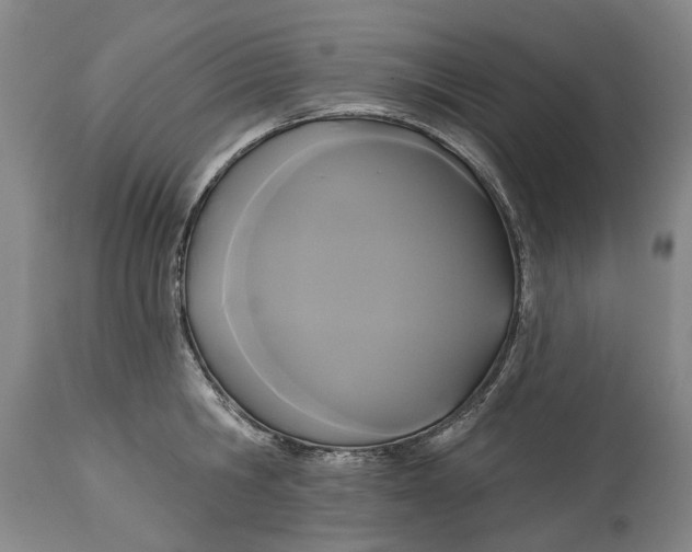 X0000115090806200911171216