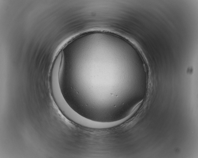X0000115090807200911171216