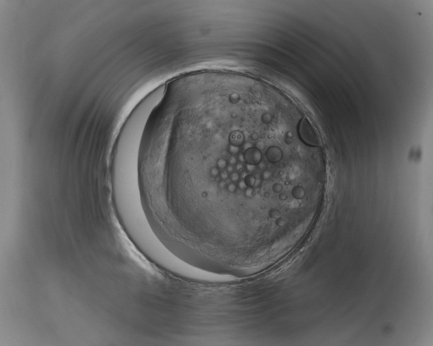 X0000115090808200911171216