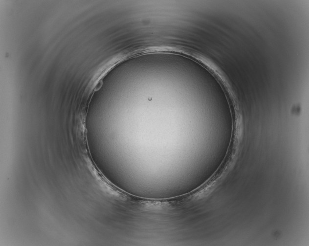 X0000115090809200911171216