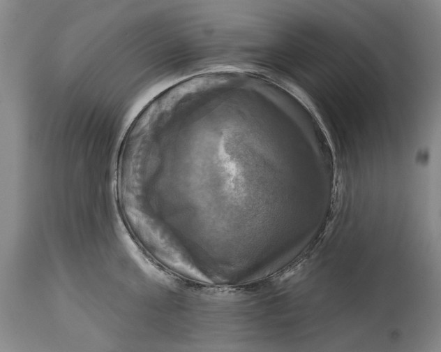 X0000115090811200911171216