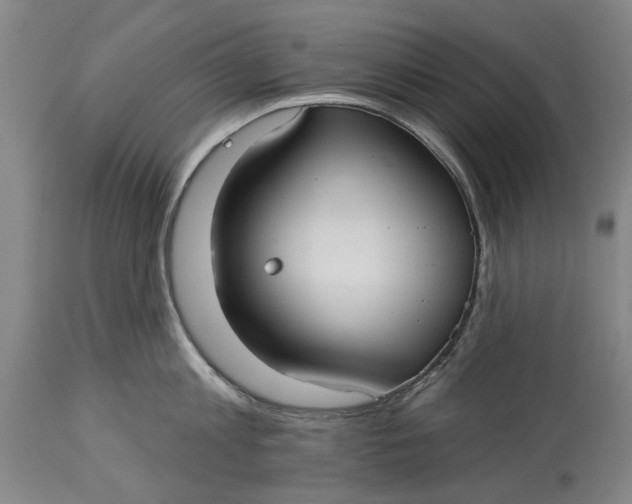 X0000115090813200911171216