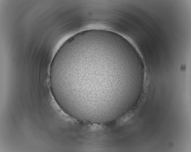 X0000115090815200911171216