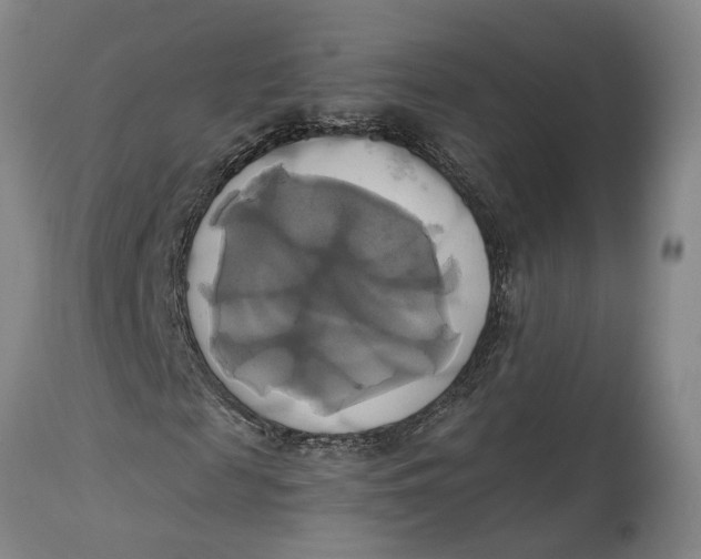 X0000115090817200911171215