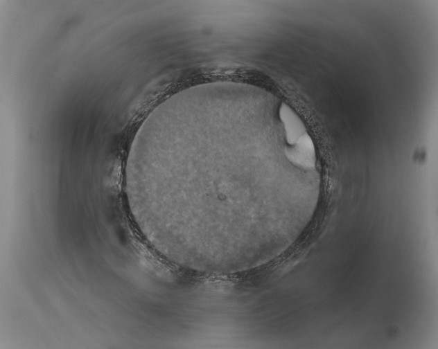 X0000115090820200911171215