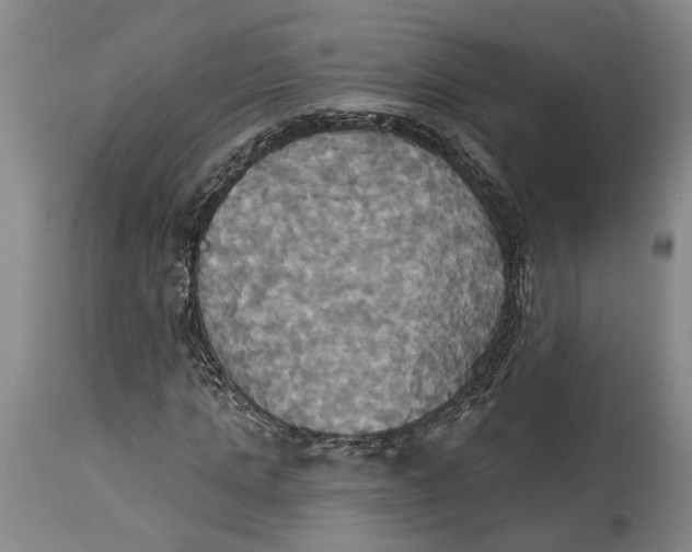 X0000115090821200911171215
