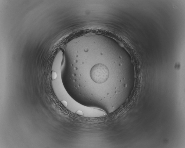 X0000115090824200911171215