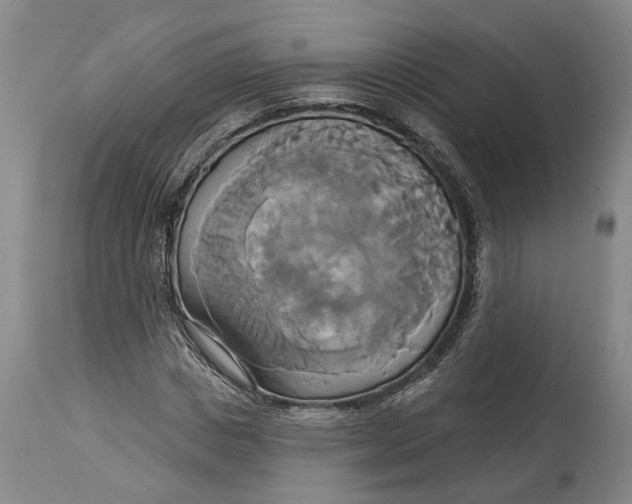 X0000115090825200911171215