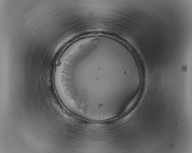 X0000115090826200911171215