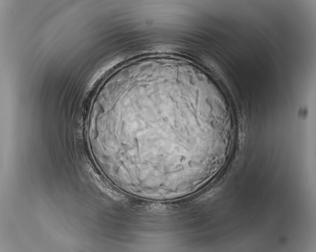 X0000115090827200911171215