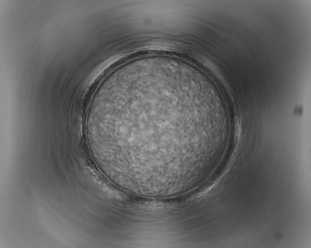 X0000115090829200911171215