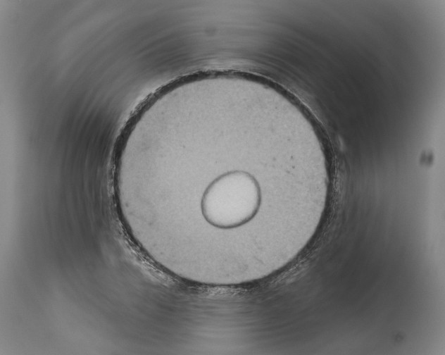X0000115090832200911171215