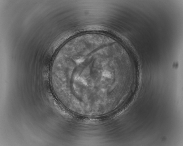 X0000115090833200911171215