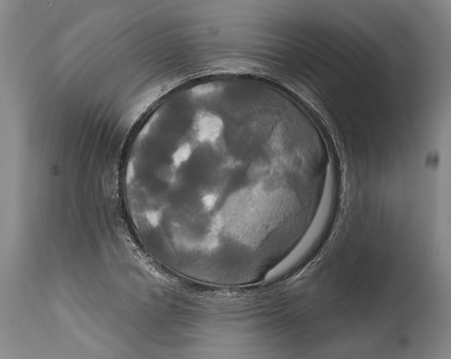 X0000115090834200911171215