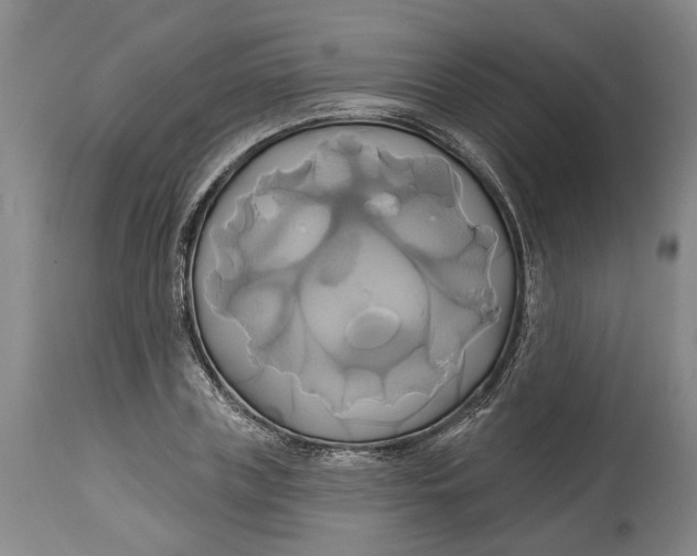 X0000115090835200911171215