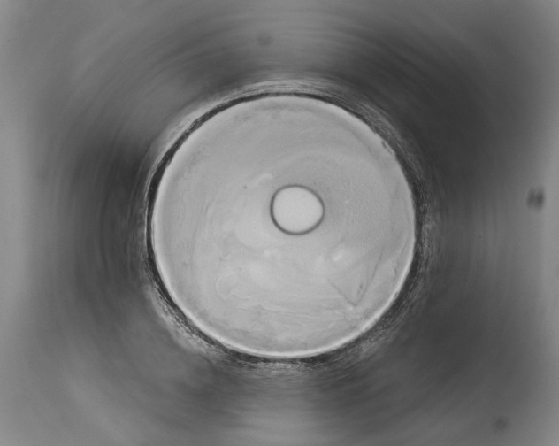 X0000115090836200911171215
