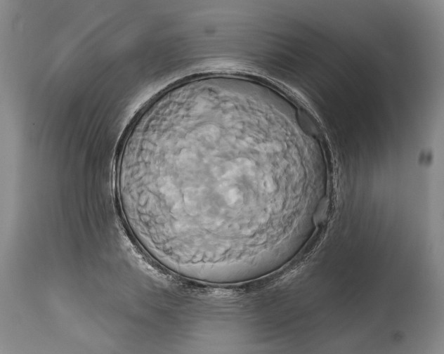 X0000115090839200911171215