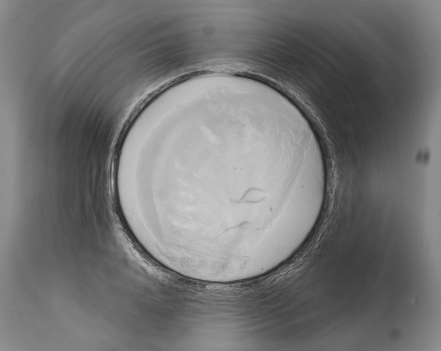 X0000115090840200911171215