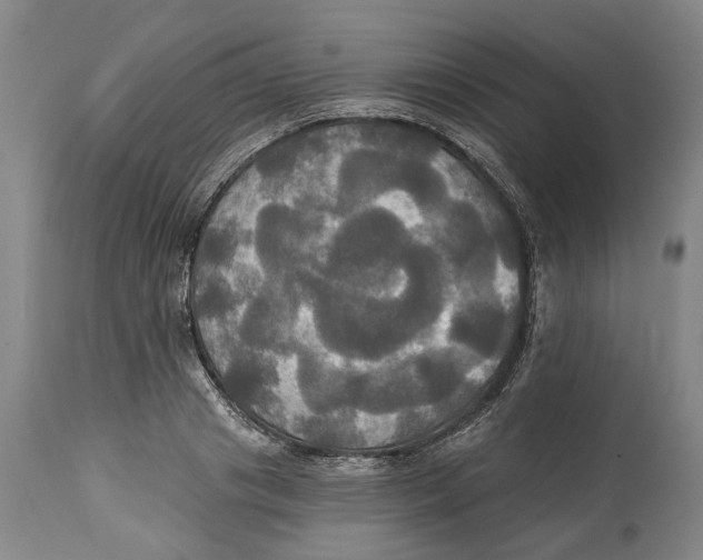 X0000115090841200911171216