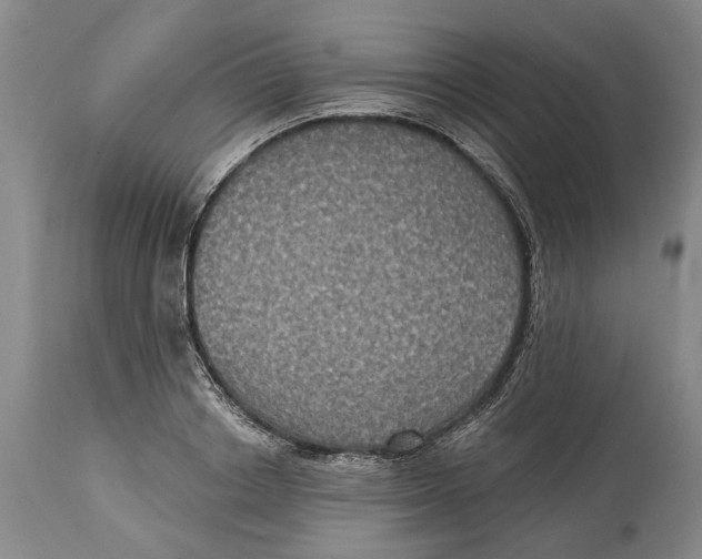 X0000115090842200911171216