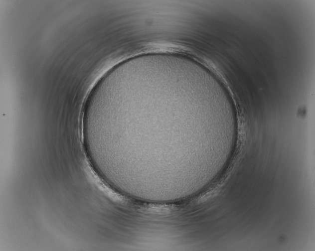 X0000115090843200911171216