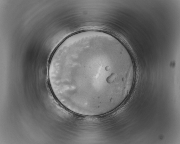 X0000115090844200911171216