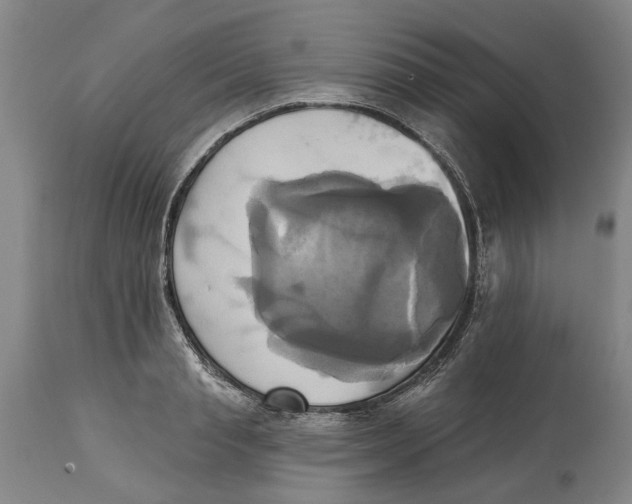 X0000115090845200911171216