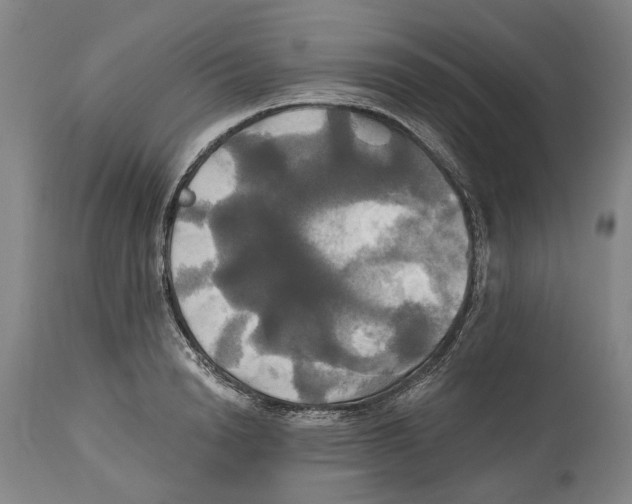 X0000115090846200911171216